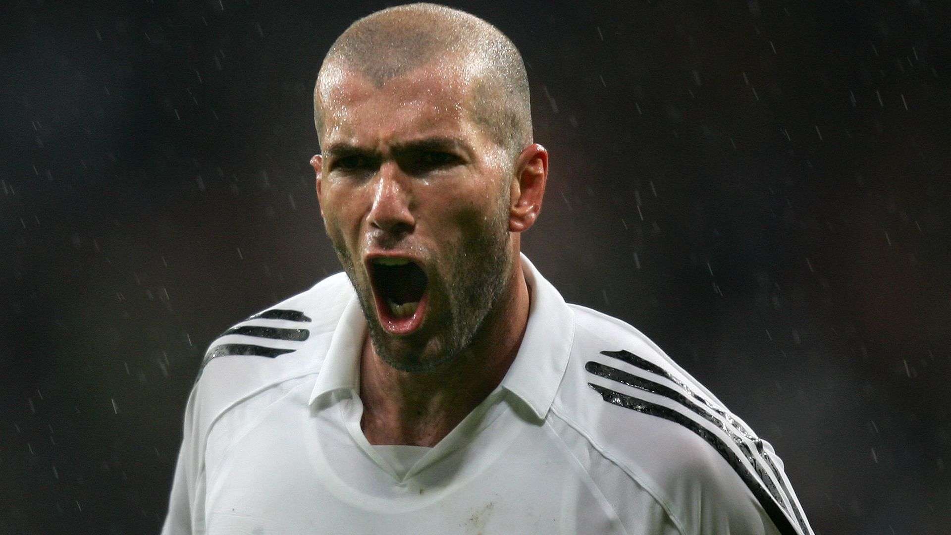 携手共赴荣 携手共赴荣