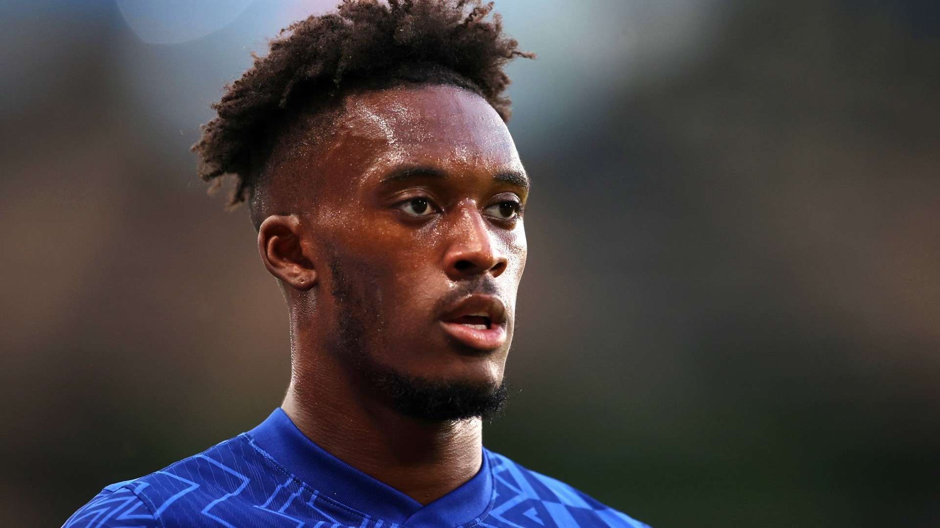 与希望都寄 与希望都寄